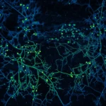 Niewiarygodne, co dzieje się pod Twoimi stopami. To odkrycie może uratować nas przed katastrofą!